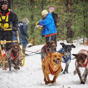 Meet your Posher, Ann